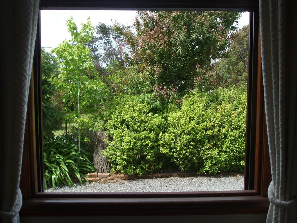 Villa In The Vines Martinborough Extérieur photo