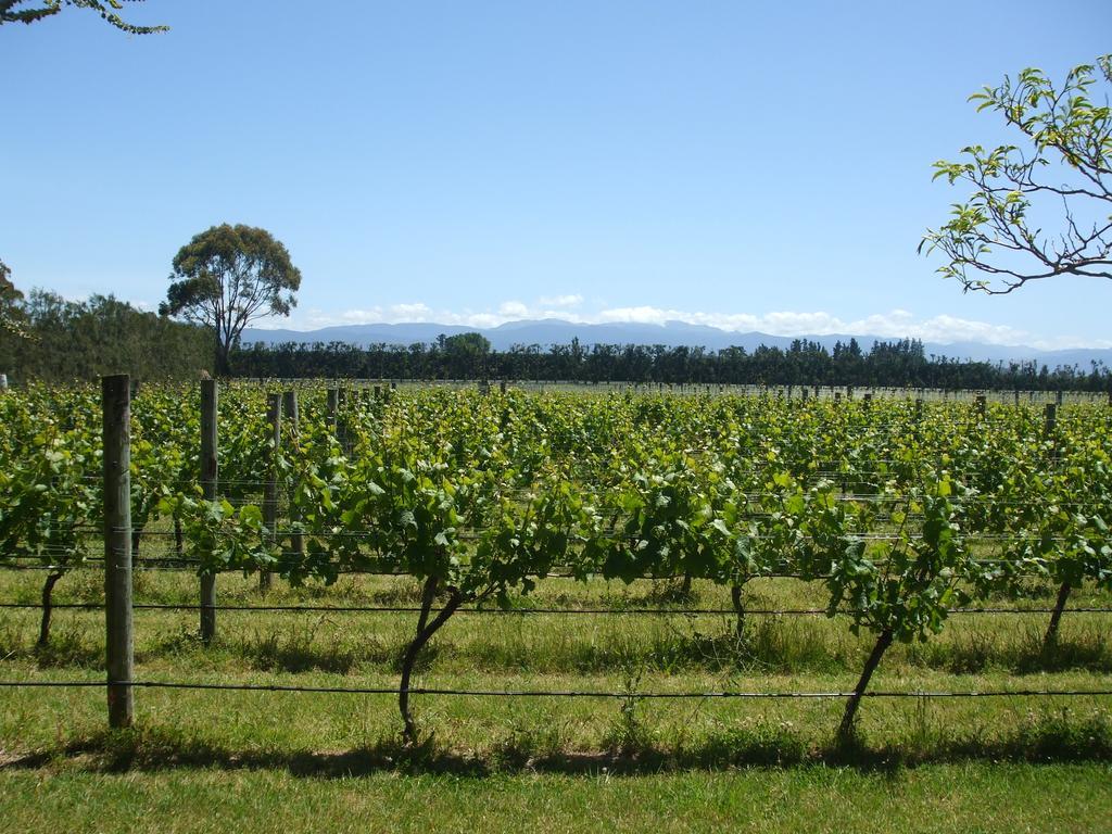 Villa In The Vines Martinborough Extérieur photo