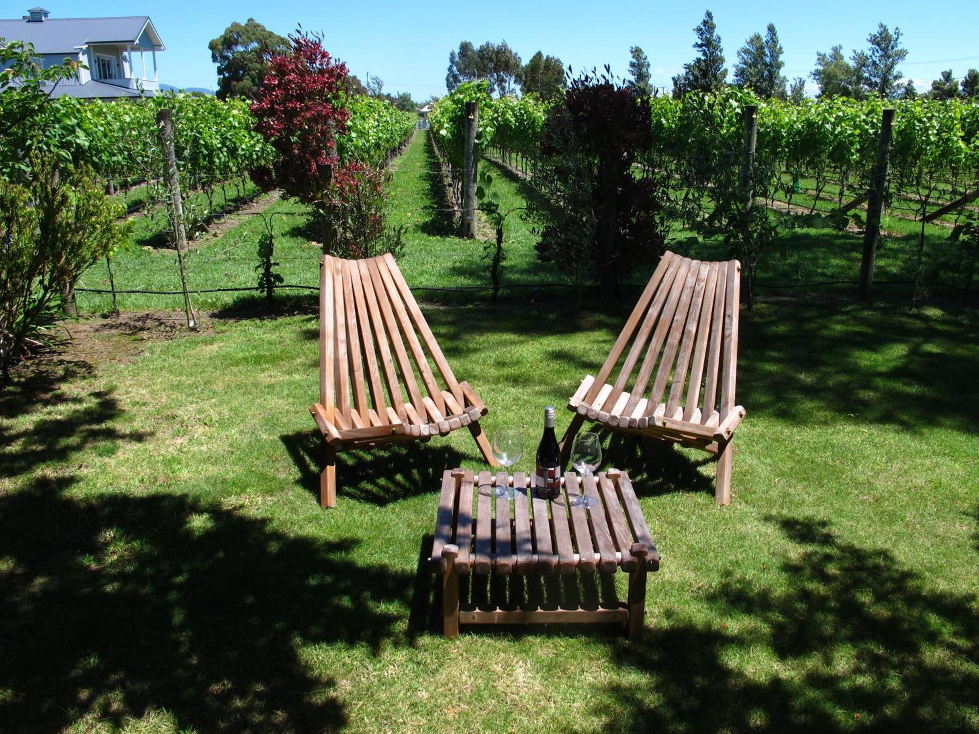 Villa In The Vines Martinborough Extérieur photo